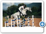 saut d'obstacles